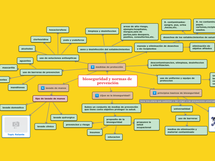 Bioseguridad Y Normas De Prevenci N Mind Map